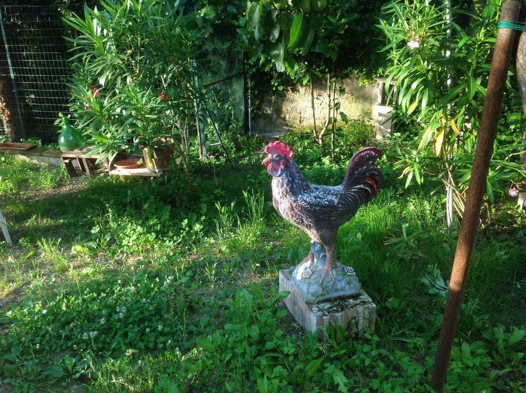 Il Giardino Del Gallo Foligno Extérieur photo